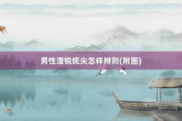 男性湿锐疣尖怎样辨别(附图)