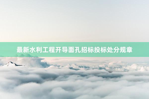 最新水利工程开导面孔招标投标处分规章